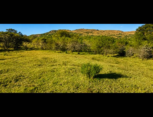 14.80HA FARM FOR SALE IN BLESBOKLAAGTE